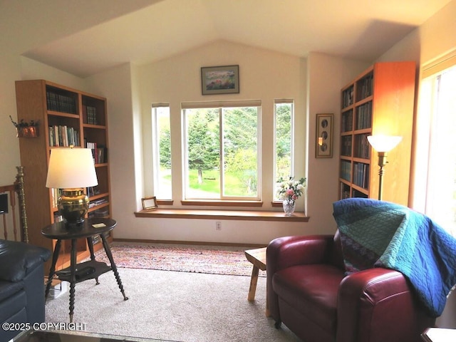 4259 Shirley Ct, Homer, AK 99603 - living area featuring lofted ceiling