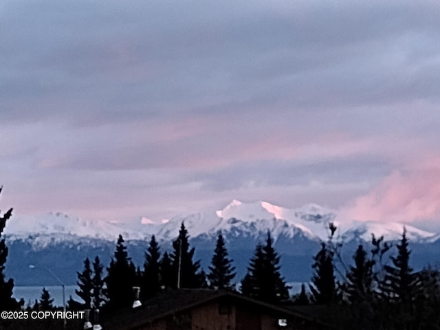 4259 Shirley Ct, Homer, AK 99603 - mountain view
