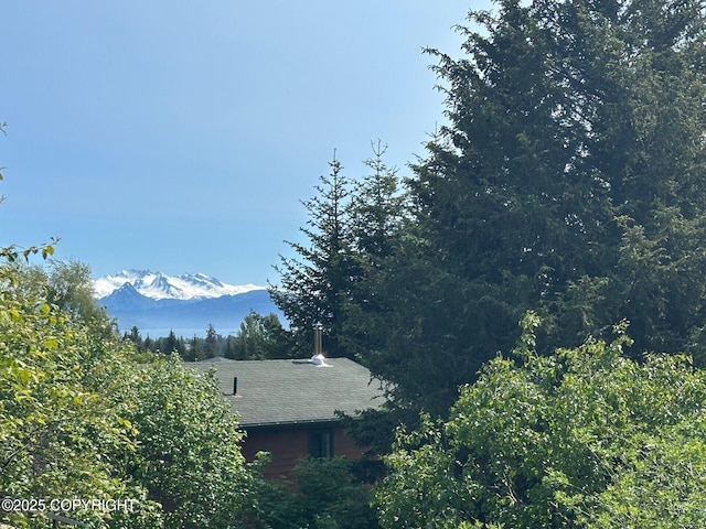 4259 Shirley Ct, Homer, AK 99603 - view of mountain backdrop