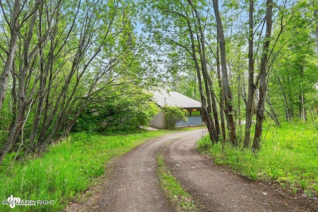 4821 S Outrigger Dr, Wasilla, AK 99654 - view of dirt / gravel driveway