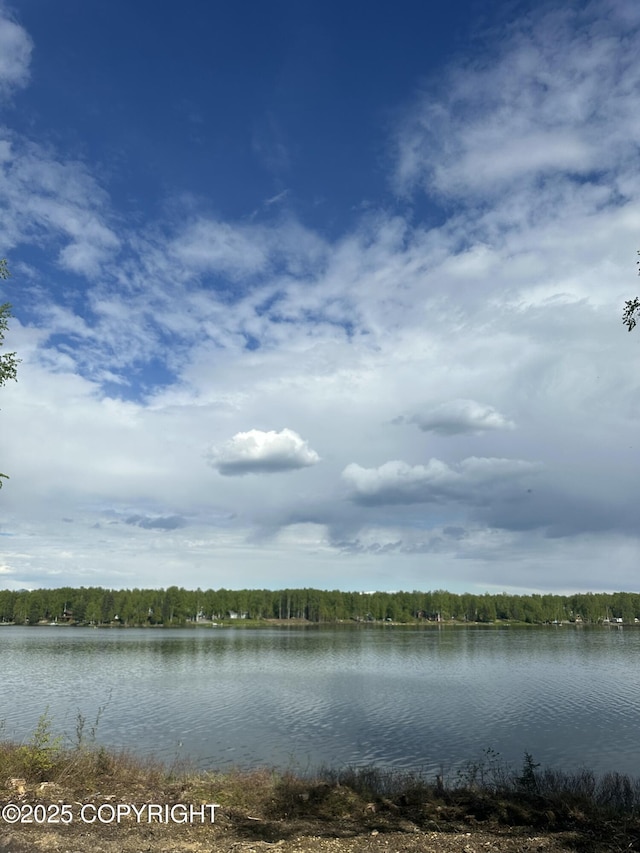 13505 N Willow Lake Dr, Willow, AK 99688