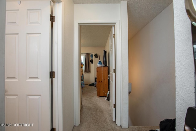 1701 Russian Jack Dr # D3, Anchorage, AK 99508 - corridor featuring carpet flooring and a textured ceiling