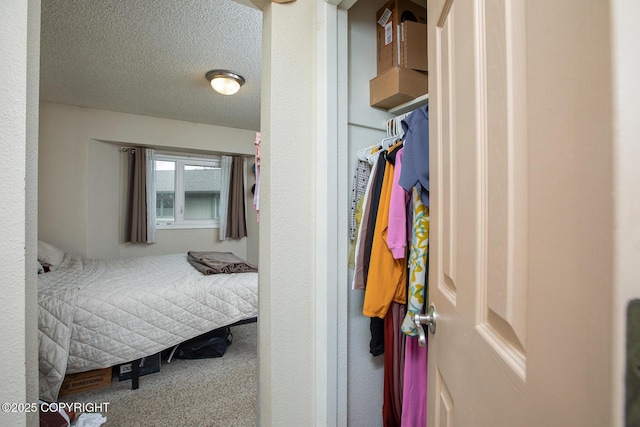 1701 Russian Jack Dr # D3, Anchorage, AK 99508 - carpeted bedroom with a textured ceiling