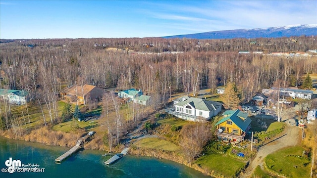 674 W Selina Ln, Wasilla, AK 99654 - drone / aerial view of a heavily wooded area and a large body of water