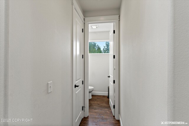 1506 M St, Anchorage, AK 99501 - hall with dark wood-style floors and baseboards