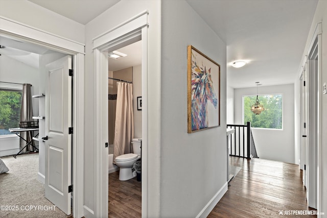 1506 M St, Anchorage, AK 99501 - hallway with an upstairs landing, healthy amount of natural light, wood finished floors, and baseboards