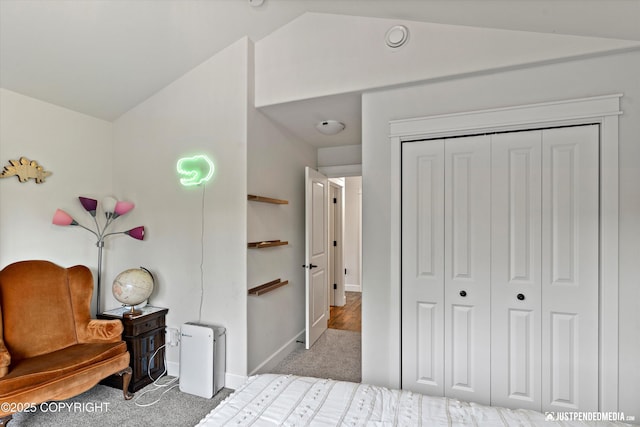1506 M St, Anchorage, AK 99501 - bedroom with vaulted ceiling, carpet floors, a closet, and baseboards