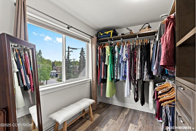 1506 M St, Anchorage, AK 99501 - spacious closet featuring wood finished floors