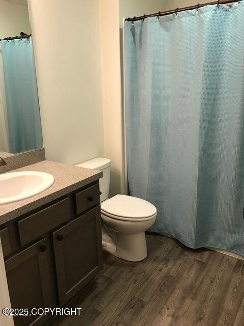 1506 M St, Anchorage, AK 99501 - bathroom with wood finished floors, vanity, and toilet