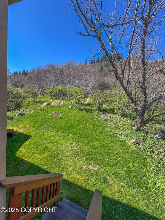 124 Mountain View Dr, Homer, AK 99603 - view of grassy yard