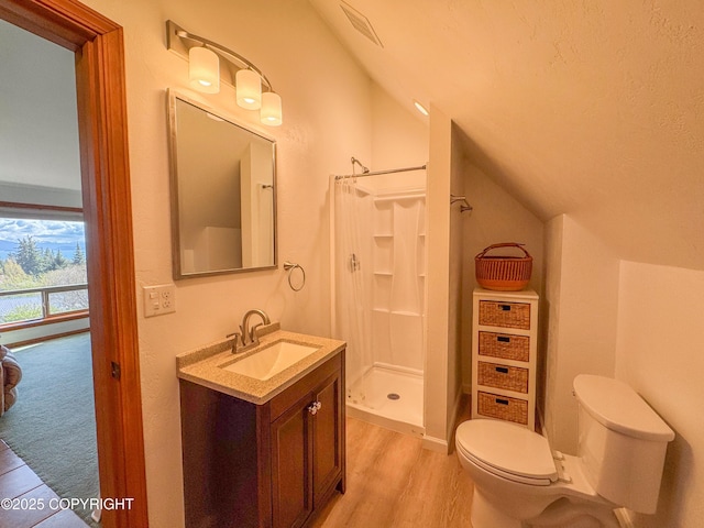 124 Mountain View Dr, Homer, AK 99603 - bathroom featuring vaulted ceiling, toilet, a stall shower, vanity, and wood finished floors