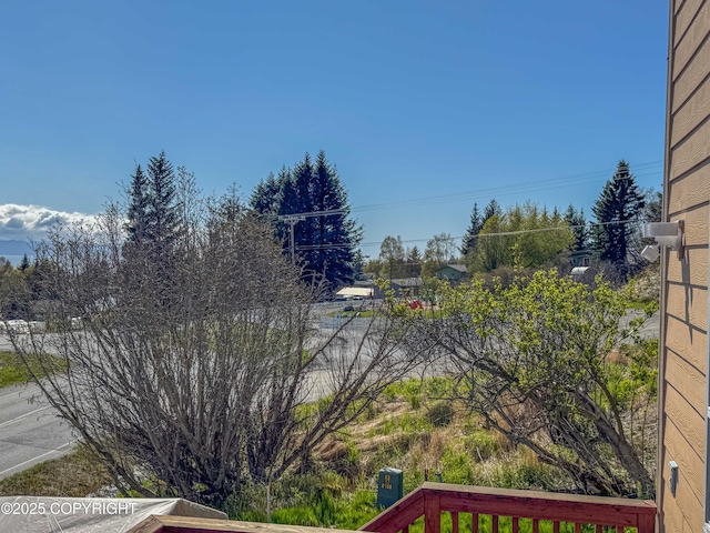 124 Mountain View Dr, Homer, AK 99603 - view of yard