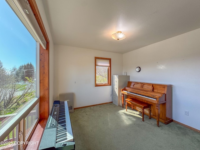 124 Mountain View Dr, Homer, AK 99603 - living area featuring carpet floors and baseboards