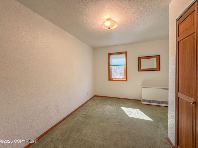 124 Mountain View Dr, Homer, AK 99603 - unfurnished room with a textured wall, carpet, a textured ceiling, and baseboards
