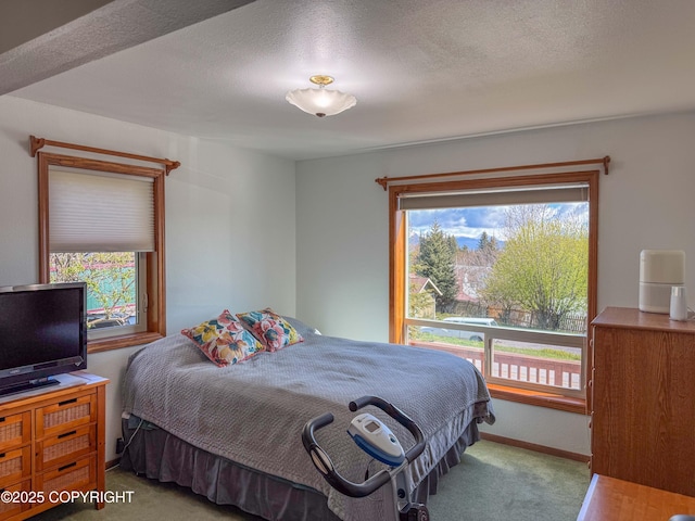 124 Mountain View Dr, Homer, AK 99603 - bedroom featuring carpet floors and baseboards