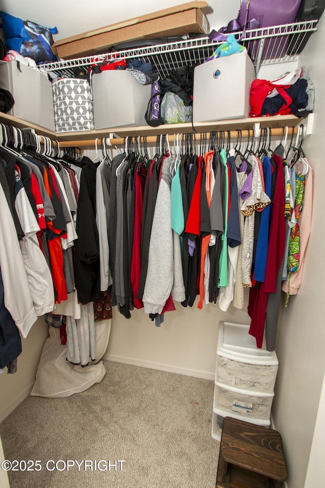 3208 E Serendipity Loop, Wasilla, AK 99654 - spacious closet featuring carpet flooring