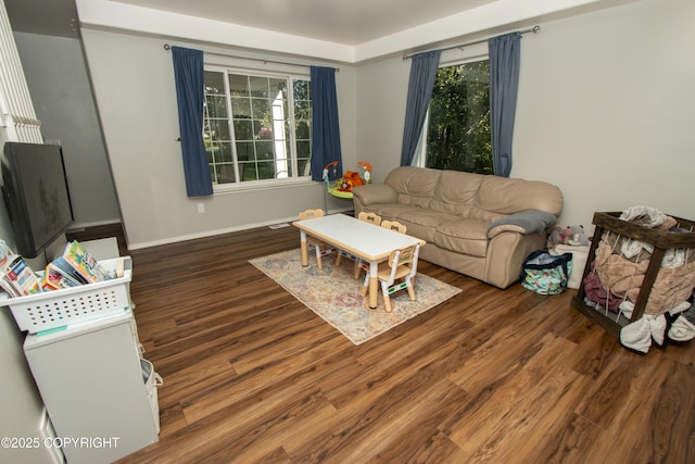 3208 E Serendipity Loop, Wasilla, AK 99654 - living room featuring wood finished floors, plenty of natural light, and baseboards