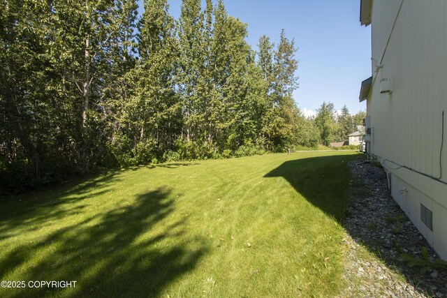 3208 E Serendipity Loop, Wasilla, AK 99654 - view of green lawn
