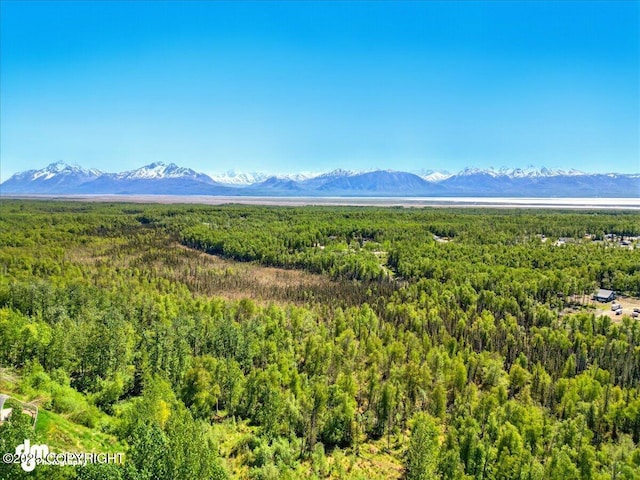 5680 W Birch Harbor Dr, Wasilla, AK 99623 - view of mountain background featuring a heavily wooded area