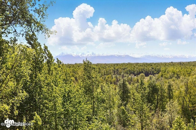 5680 W Birch Harbor Dr, Wasilla, AK 99623 - mountain view with a heavily wooded area