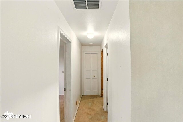 5680 W Birch Harbor Dr, Wasilla, AK 99623 - hall with light carpet and baseboards