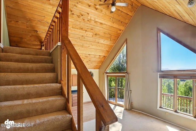 5680 W Birch Harbor Dr, Wasilla, AK 99623 - staircase featuring wooden ceiling, carpet, lofted ceiling, plenty of natural light, and ceiling fan
