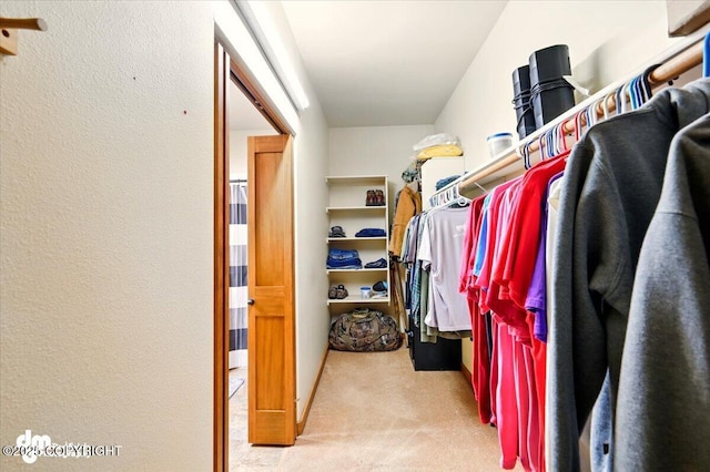 6325 S Hayfield Rd, Wasilla, AK 99654 - spacious closet with carpet
