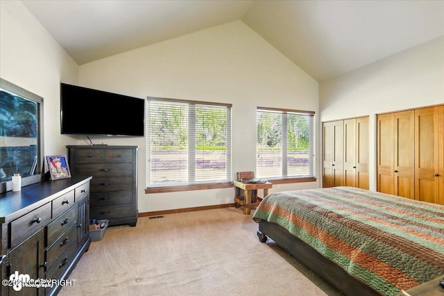 6325 S Hayfield Rd, Wasilla, AK 99654 - bedroom with high vaulted ceiling, light carpet, baseboards, and multiple closets