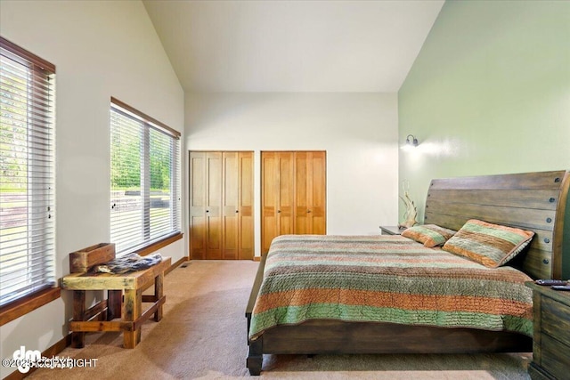 6325 S Hayfield Rd, Wasilla, AK 99654 - bedroom with carpet floors, baseboards, multiple closets, and high vaulted ceiling