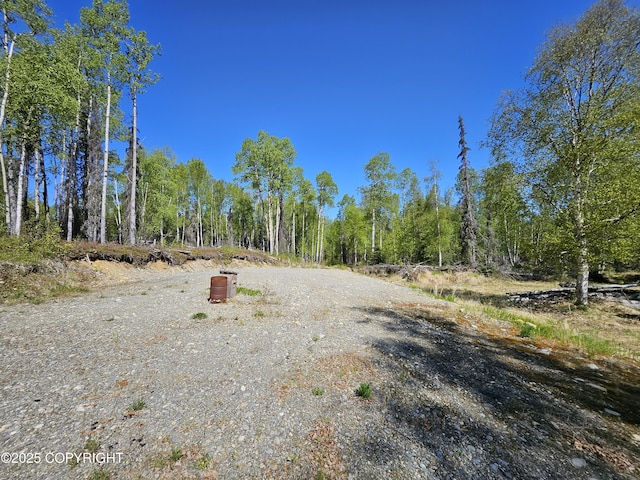 14617 N Four Mile Rd, Willow, AK 99688 - photo 17