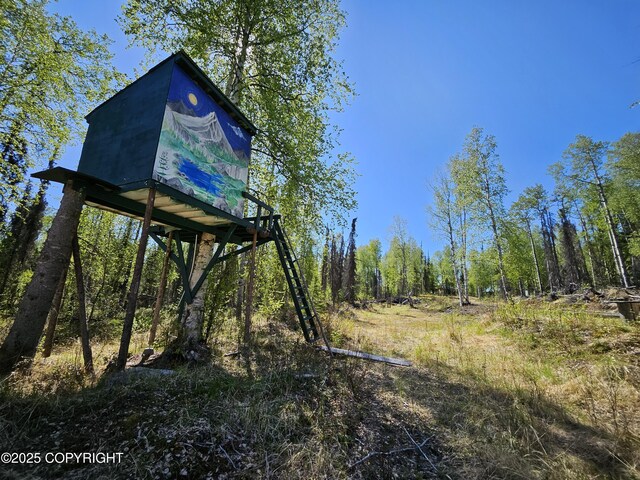 14617 N Four Mile Rd, Willow, AK 99688 - photo 28