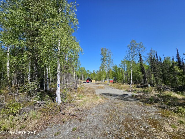 14617 N Four Mile Rd, Willow, AK 99688 - photo 8