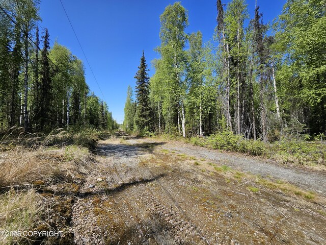 14617 N Four Mile Rd, Willow, AK 99688 - photo 30