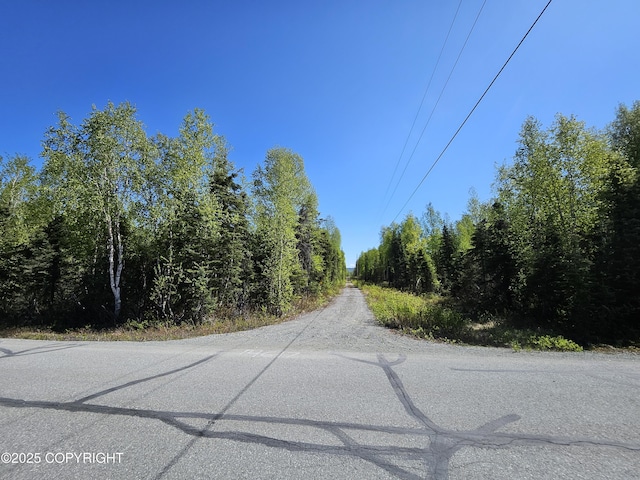 14617 N Four Mile Rd, Willow, AK 99688 - photo 32