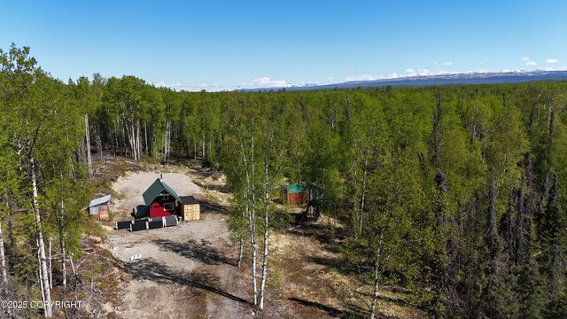 14617 N Four Mile Rd, Willow, AK 99688 - photo 5