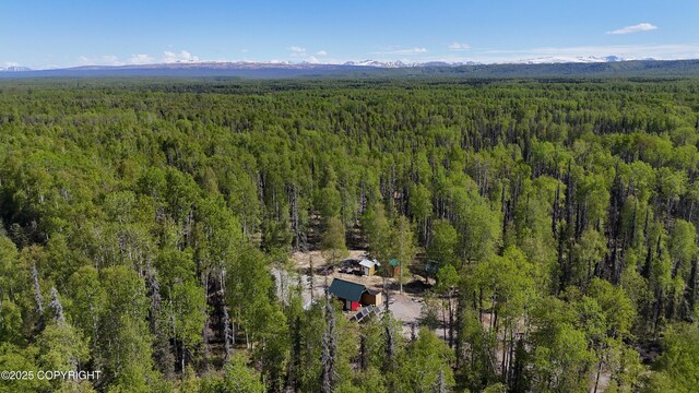 14617 N Four Mile Rd, Willow, AK 99688 - photo 7