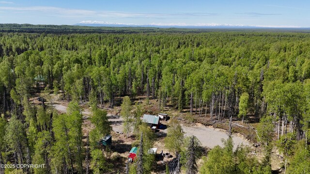14617 N Four Mile Rd, Willow, AK 99688 - photo 6