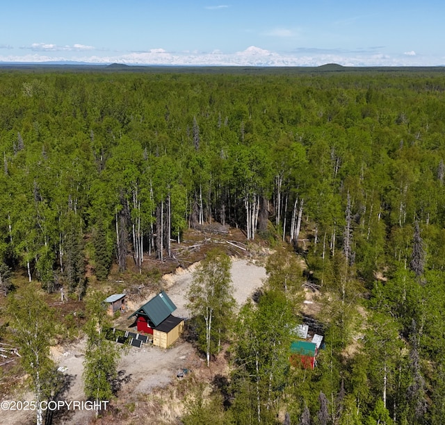 14617 N Four Mile Rd, Willow, AK 99688 - photo 1