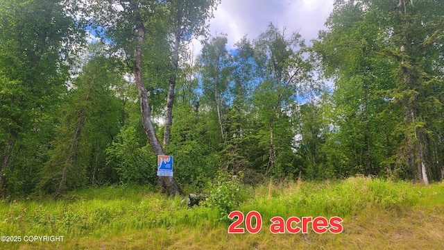 8947 W Cormorant Way, Wasilla, AK 99623