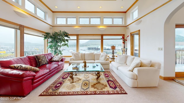 22 Sing Lee Aly # 5, Petersburg, AK 99833 - carpeted living area featuring arched walkways, a towering ceiling, ornamental molding, and baseboards