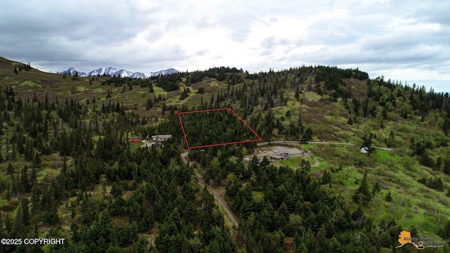 T11N Potter Heights Dr, Anchorage, AK 99516