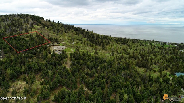T11N Potter Heights Dr, Anchorage, AK 99516