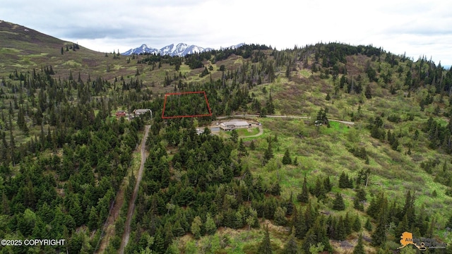 T11N Potter Heights Dr, Anchorage, AK 99516