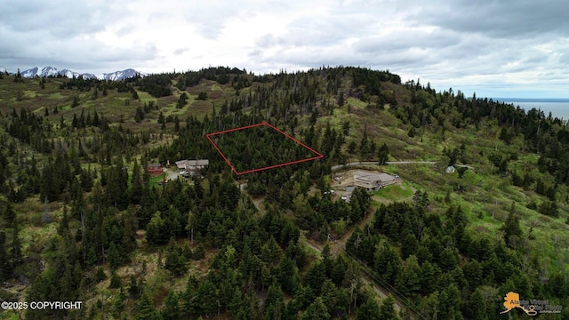 T11N Potter Heights Dr, Anchorage, AK 99516