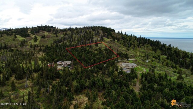 T11N Potter Heights Dr, Anchorage, AK 99516