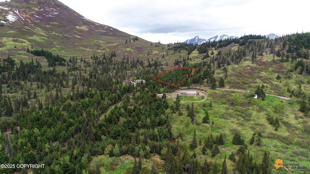 T11N Potter Heights Dr, Anchorage, AK 99516