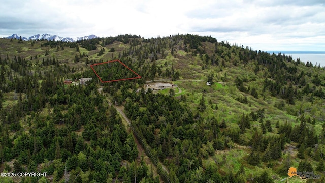T11N Potter Heights Dr, Anchorage, AK 99516