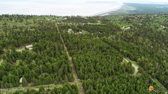 T11N Potter Heights Dr, Anchorage, AK 99516