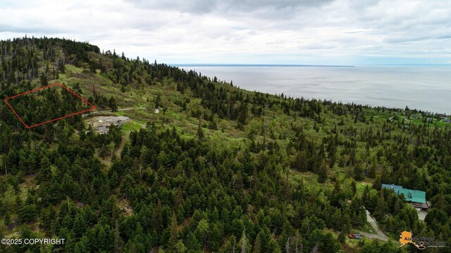 T11N Potter Heights Dr, Anchorage, AK 99516