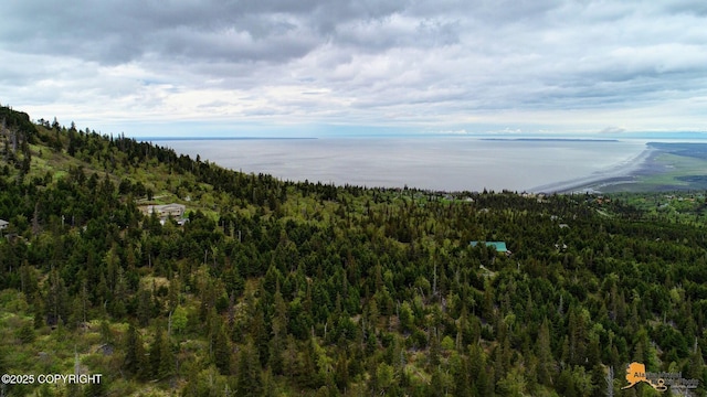 T11N Potter Heights Dr, Anchorage, AK 99516
